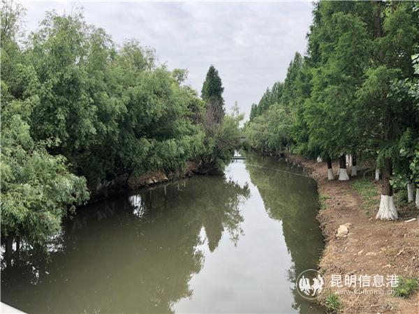 黨建引領(lǐng) 撐起滇池治理“紅色護(hù)盾” (2)