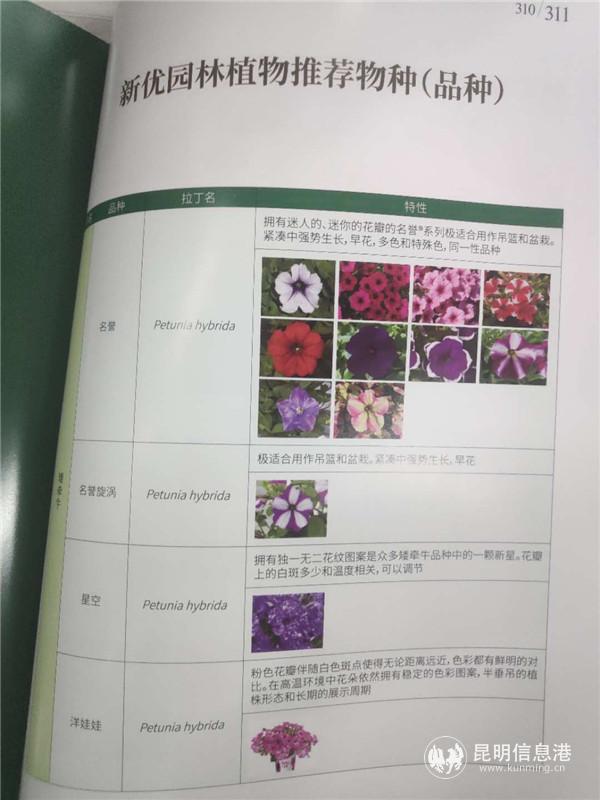 1810504128 1810504128