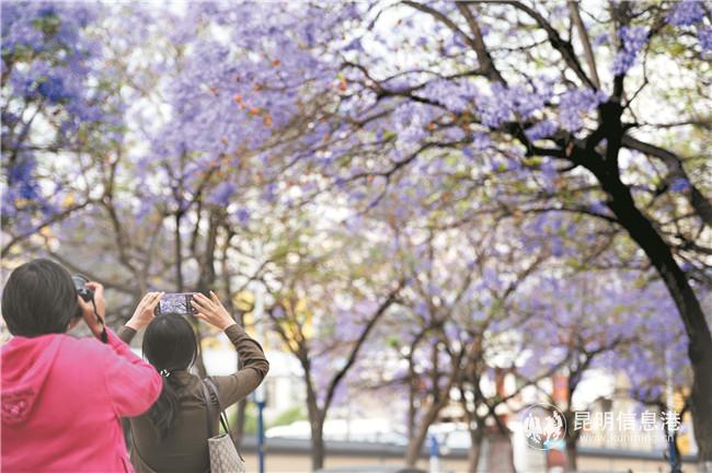 微信圖片_20200423195010 微信圖片_20200423195010