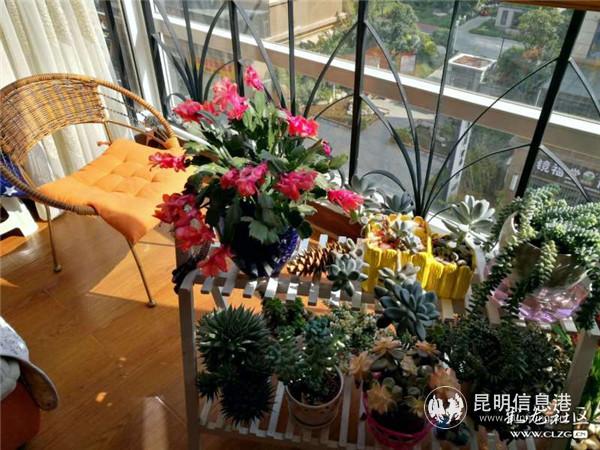 網(wǎng)友“風(fēng)的顏色”投稿作品《我的花樣生活》1