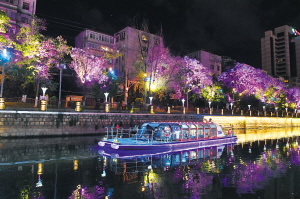 98341588351267904 98341588351267904