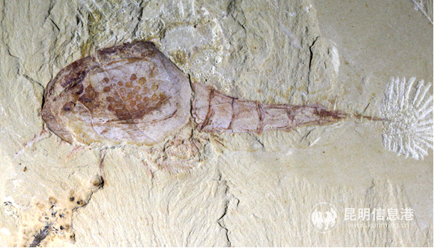 4bafe1d10590ed76d985b69311b6195 4bafe1d10590ed76d985b69311b6195