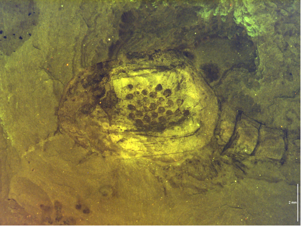 7755f3dbec685f3fb955ce09f56323d 7755f3dbec685f3fb955ce09f56323d