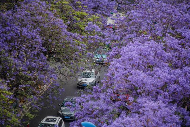 e850352ac65c103841ec3b64470b0915b17e89a3 e850352ac65c103841ec3b64470b0915b17e89a3