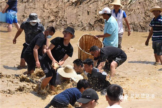 698a876468153f20c73e13a72ab73ba