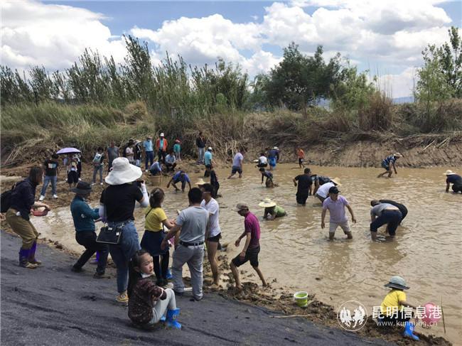 99709dfe5f174d9332e0b20b0ce4fd6