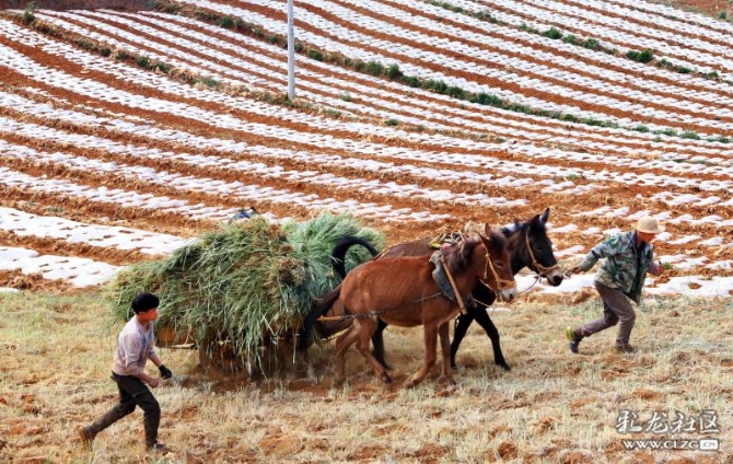 15887399068181592305572773540_21005 15887399068181592305572773540_21005