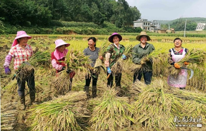 15887534015149519600801414296_21005 15887534015149519600801414296_21005