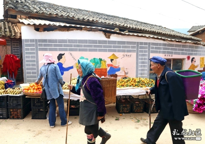 15887399066253755004433259872_21005 15887399066253755004433259872_21005