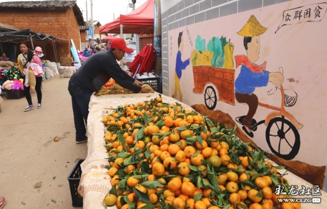 15887399065040837481655813384_21005 15887399065040837481655813384_21005