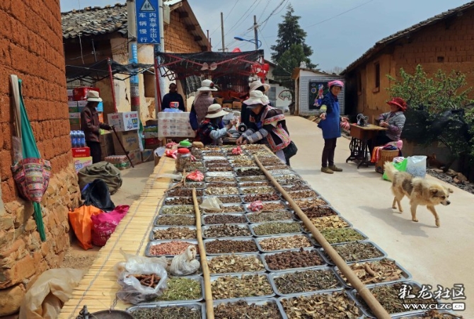 15887399065958794990087104954_21005 15887399065958794990087104954_21005