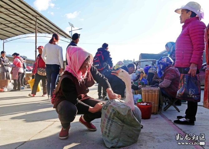 15887254358853472573163728559_21005 15887254358853472573163728559_21005