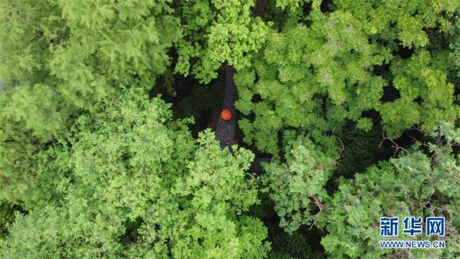 (環(huán)境)(2)合肥:環(huán)城公園綠意濃