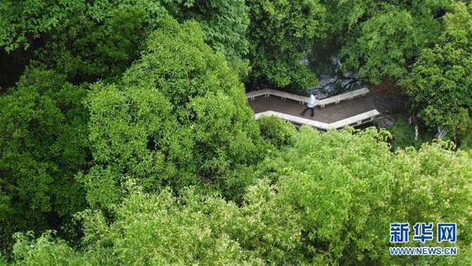 (環(huán)境)(1)合肥:環(huán)城公園綠意濃