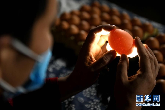 #（社會）（3）精美的蛋雕藝術(shù)