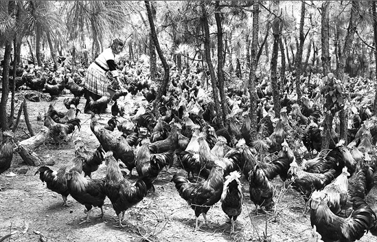 微信截圖_20200511094119