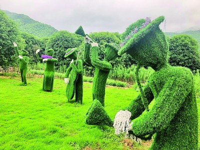 教授叢志強(qiáng)“喚醒”葛家村