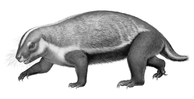 503033_zhangjy_1588923631820_b