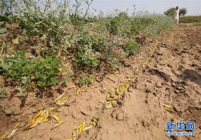 1125964018_15890681295941n 1125964018_15890681295941n