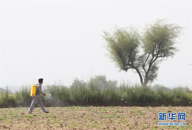 1125964018_15890681296301n 1125964018_15890681296301n