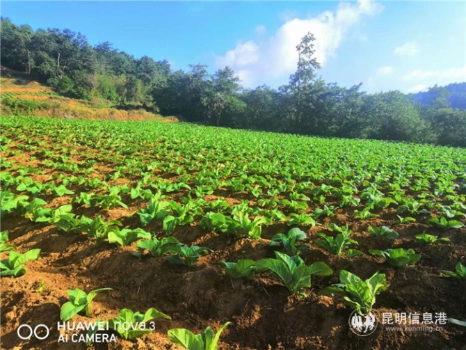 1f72e9ea779041da7f7a104e43b51ad 1f72e9ea779041da7f7a104e43b51ad