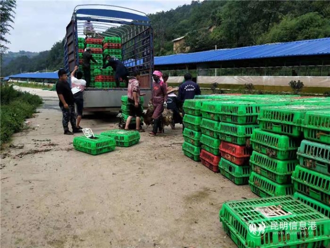 微信圖片_20191028165457 微信圖片_20191028165457