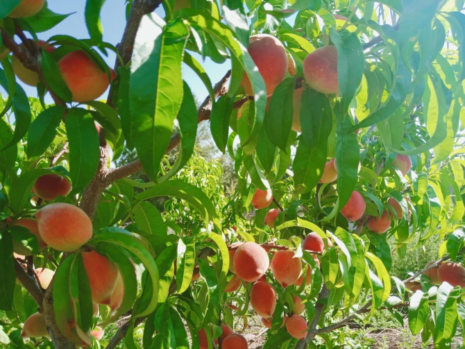 微信圖片_20200513104437