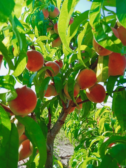 微信圖片_20200513104449