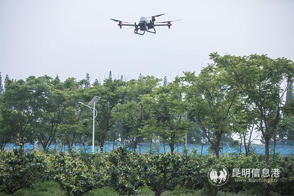 圖片1 拷貝 圖片1 拷貝