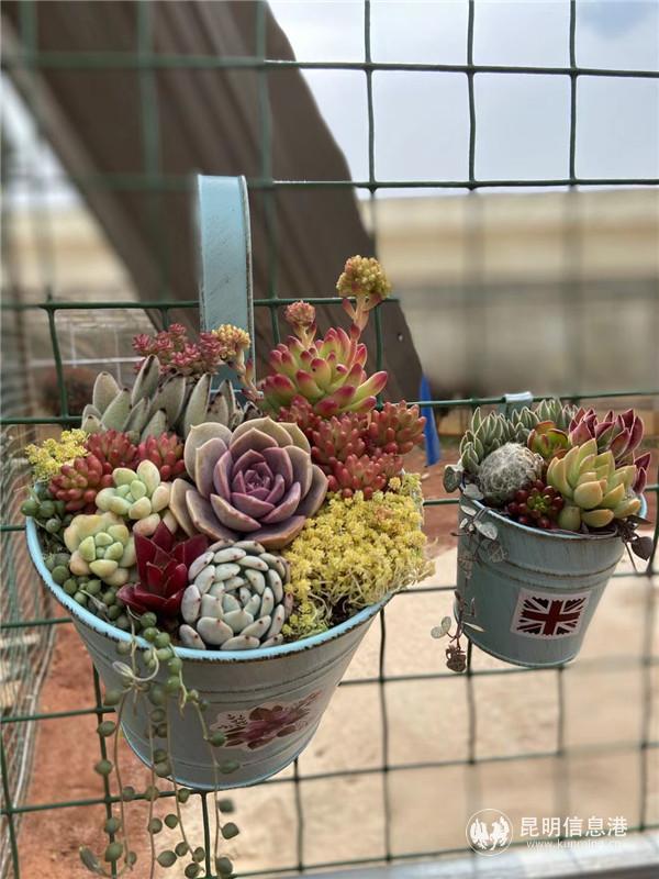 張先容線下課堂DIY作品 張先容線下課堂DIY作品