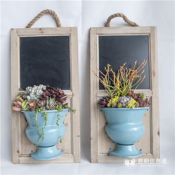 直播現(xiàn)場(chǎng)多肉組盆作品 周瑨攝 直播現(xiàn)場(chǎng)多肉組盆作品 周瑨攝