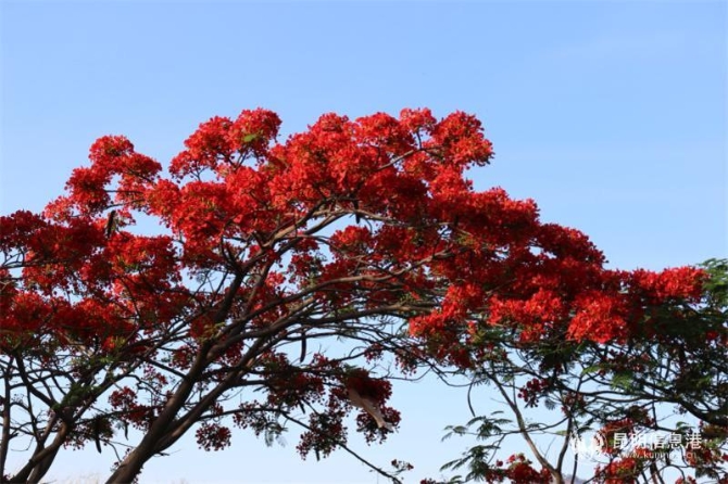 4b90015874fdf27d5b131085947e997 4b90015874fdf27d5b131085947e997