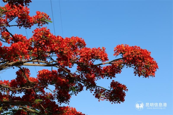 15d1bbb6a7ec5156abf506da953503f 15d1bbb6a7ec5156abf506da953503f