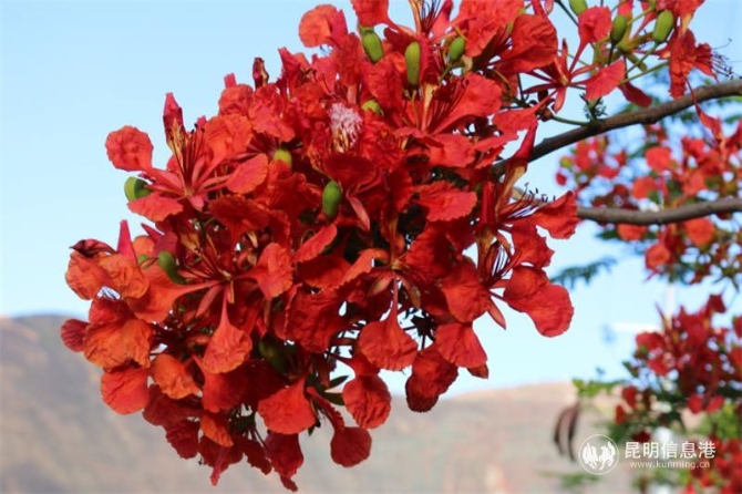 22dbac39fca1421a76f2f8e82df0bcd 22dbac39fca1421a76f2f8e82df0bcd