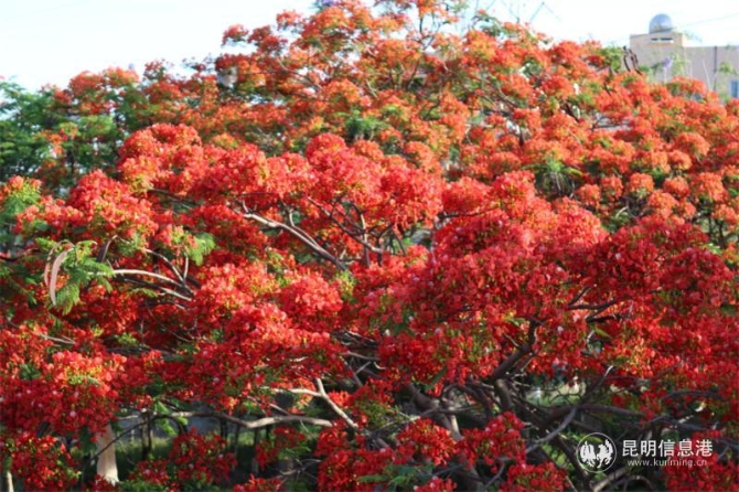 93b1f5ada29e7ae55fafc0c2607c483 93b1f5ada29e7ae55fafc0c2607c483