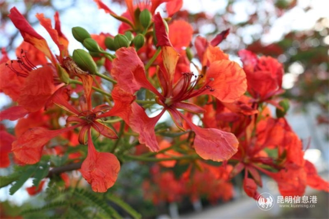 9989552ba1494511ecdfe1a70270d5e 9989552ba1494511ecdfe1a70270d5e