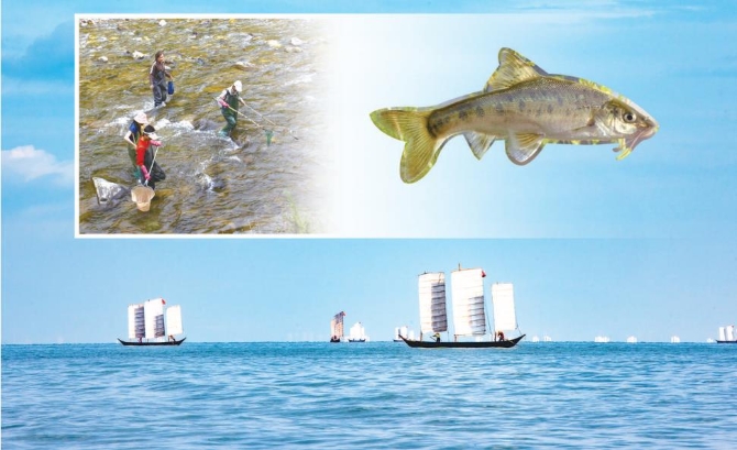 5ebe269e768c6 5ebe269e768c6