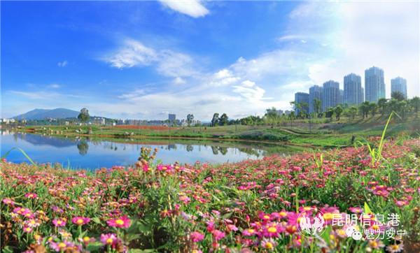 微信圖片_20200515202620