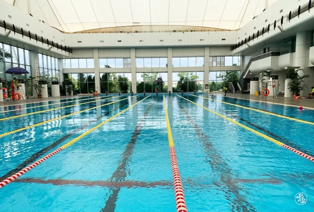 云南大型游泳館開放暫緩.png