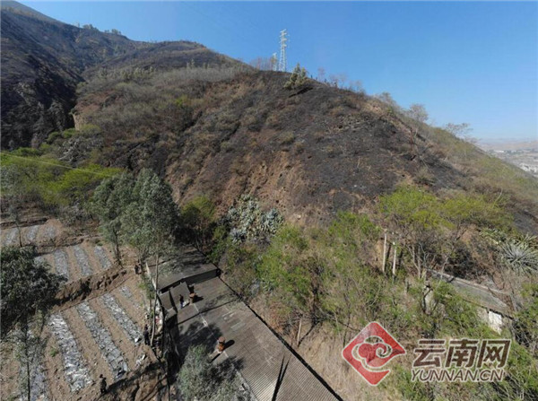 昆明森林公安通報兩起山火案原因2.jpg