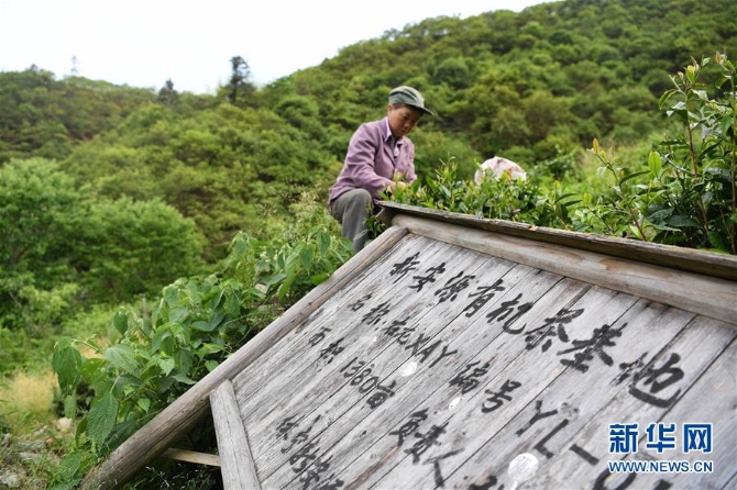 （新華全媒頭條·圖文互動）（10）問“江”哪得清如許——生態(tài)文明建設的“新安江實踐”