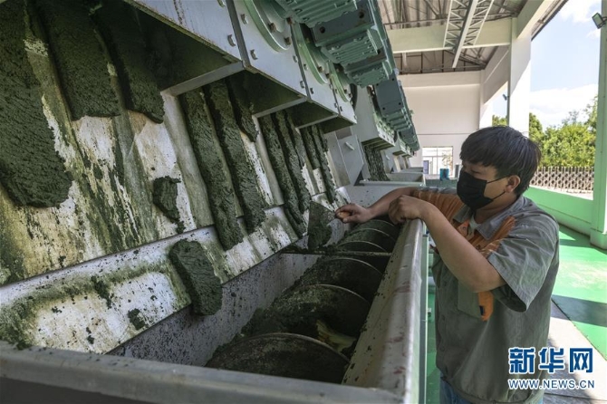 （環(huán)境）（3）滇池除藻 護碧水清流