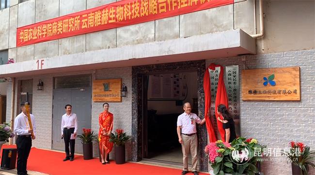 揭牌儀式。