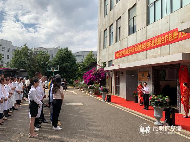 揭牌儀式現(xiàn)場。