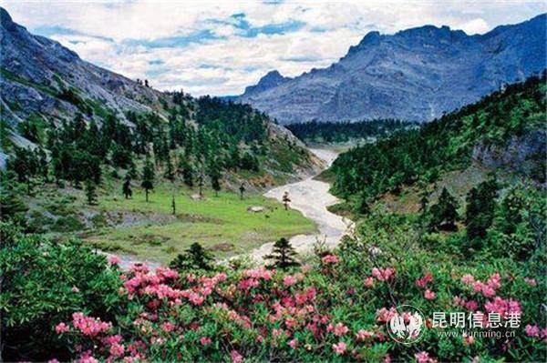 5月的香格里拉，隨處可見杜鵑花海綻放。圖片來源于網(wǎng)絡(luò)