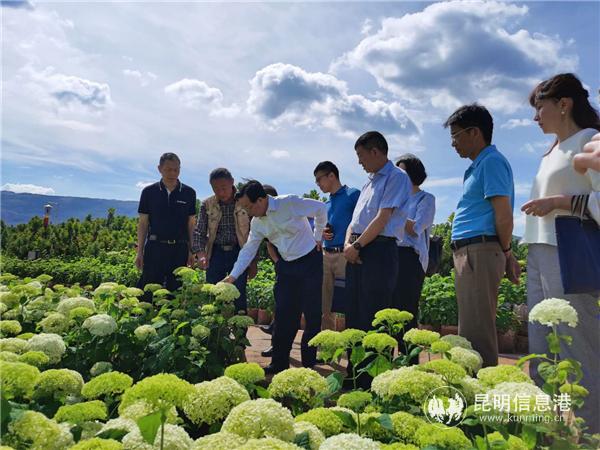 1536e663173fadf3acb0748f4c2fd91f 1536e663173fadf3acb0748f4c2fd91f