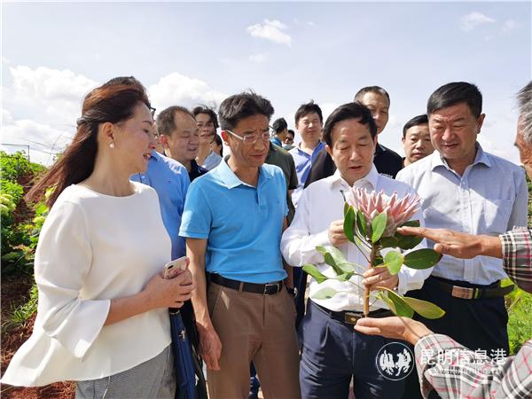 A8212F00@737DDB4B_9551C65E_recompress A8212F00@737DDB4B_9551C65E_recompress