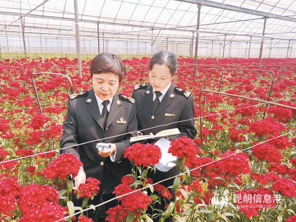 微信圖33 微信圖33