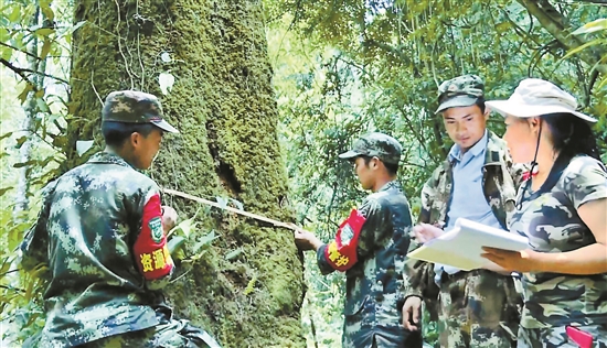 2020052605_res03_attpic_brief 2020052605_res03_attpic_brief