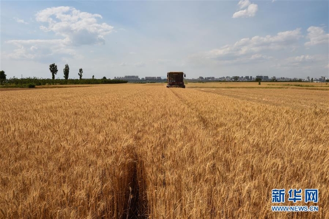 1126037182_15905376194351n 1126037182_15905376194351n